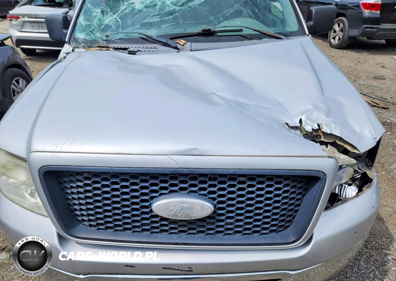 2006 Ford F150 VIN:1FTPX12586NB03333 - 11