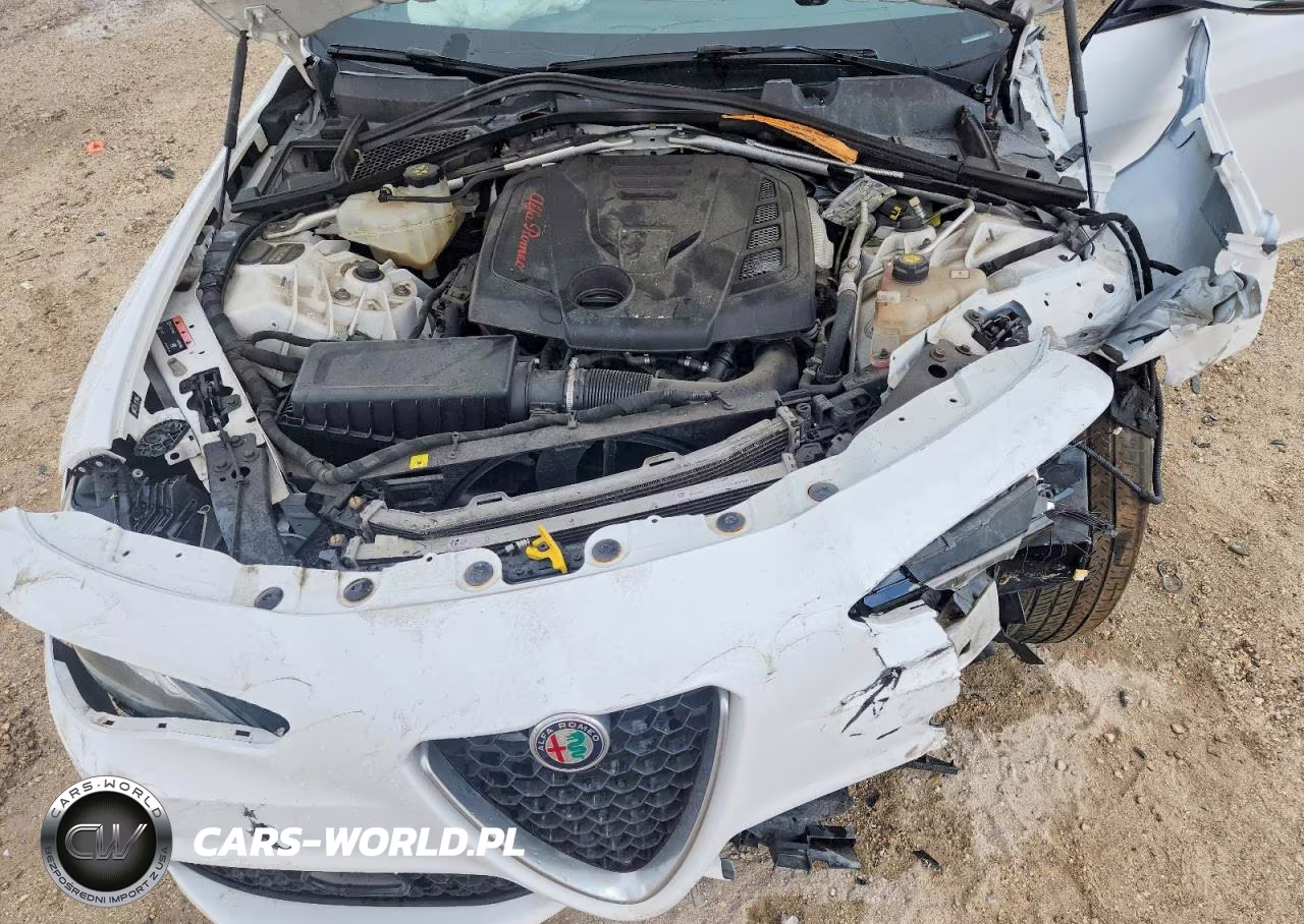 2017 Alfa Romeo Giulia VIN:ZARFAEBN3H7535619 - 11