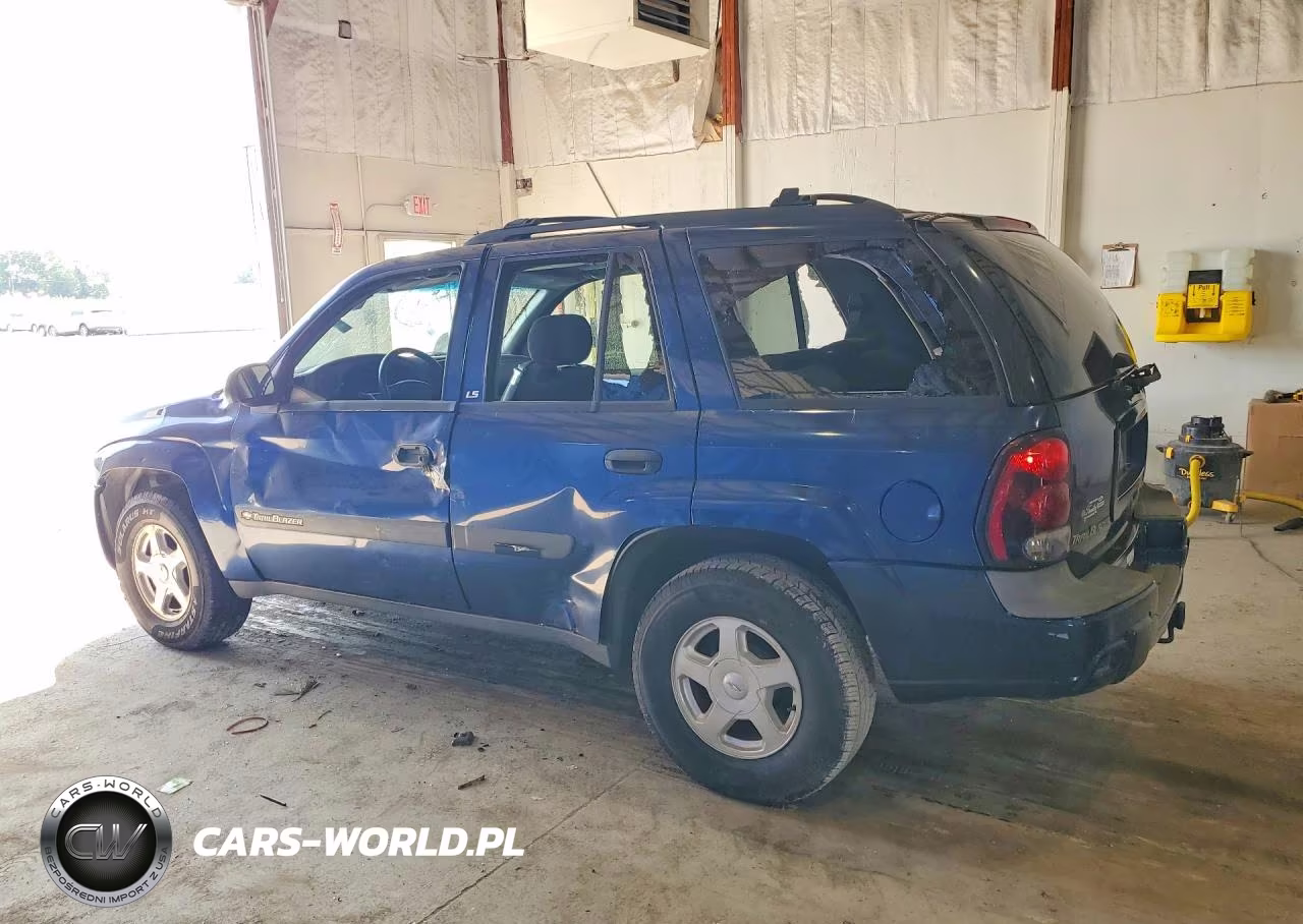 2003 Chevrolet Trailblazer VIN:1GNDT13S032325808 - 2