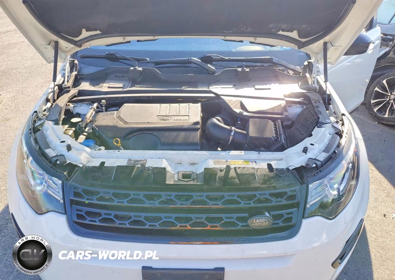 2019 Land Rover Discovery Sport Hse VIN:SALCR2FX6KH790887 - 11