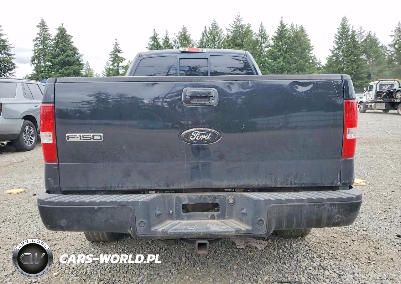 2006 Ford F-150 Fx4-Lariat-Xl-Xlt VIN:1FTPX14596FA56630 - 6