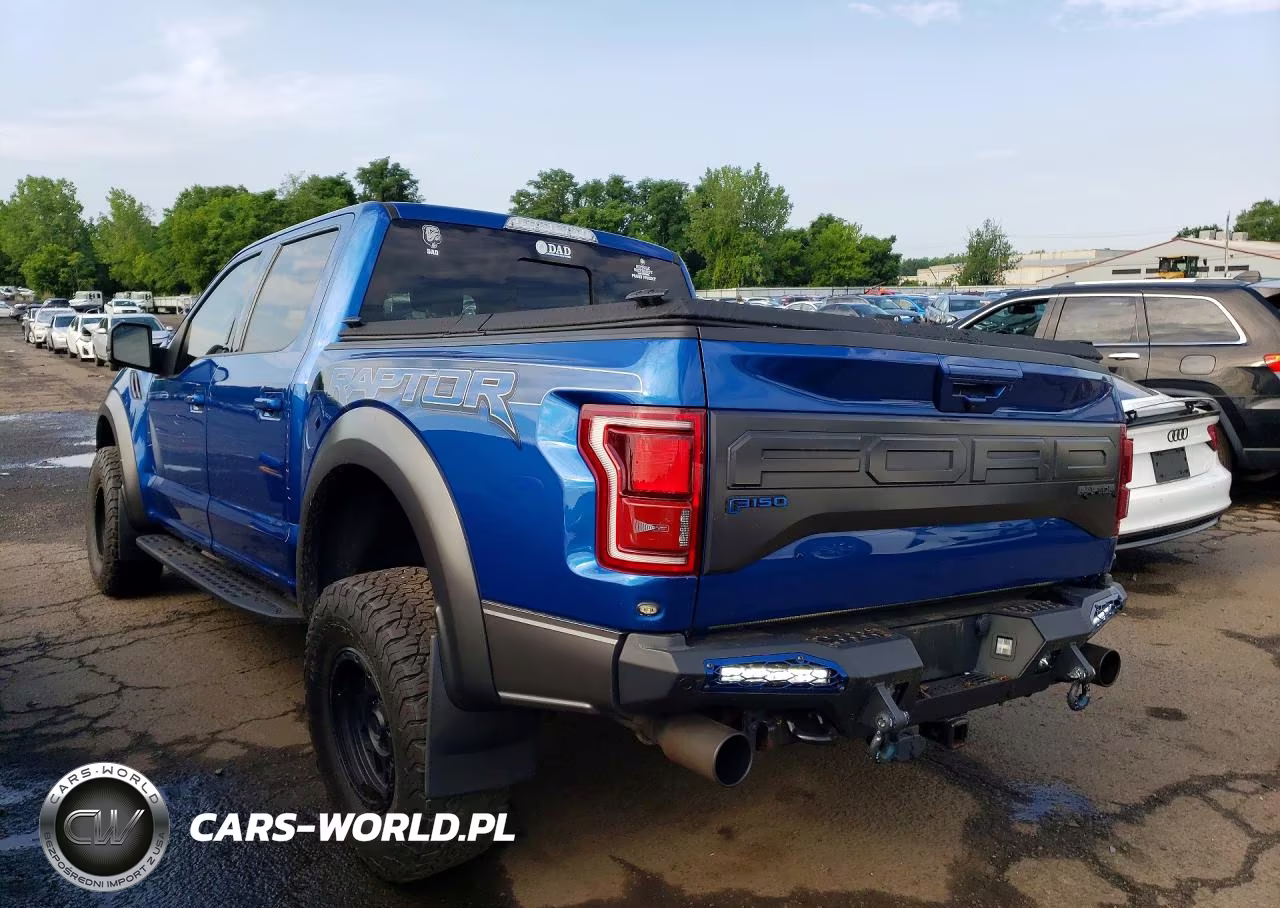 2018 Ford F150 Raptor VIN:1FTFW1RGXJFE72199 - 2