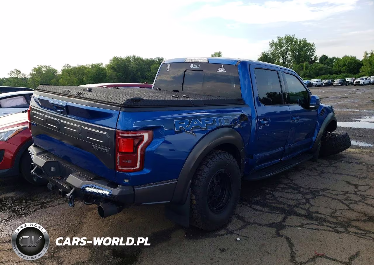 2018 Ford F150 Raptor VIN:1FTFW1RGXJFE72199 - 3