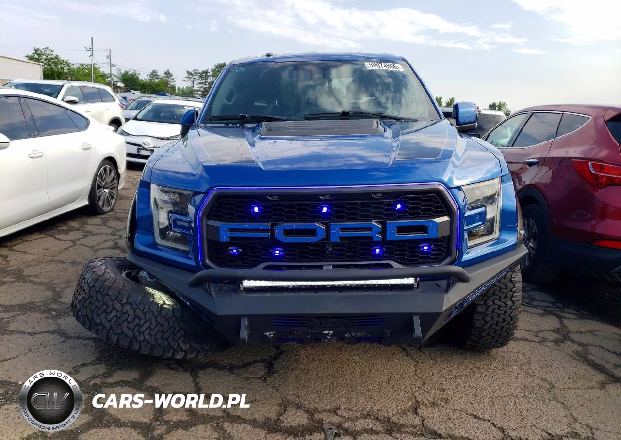 2018 Ford F150 Raptor VIN:1FTFW1RGXJFE72199 - 5