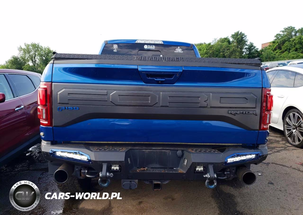2018 Ford F150 Raptor VIN:1FTFW1RGXJFE72199 - 6