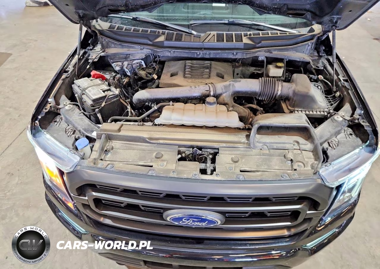 2023 Ford F150 Supercrew VIN:1FTFW1E85PKF63556 - 11
