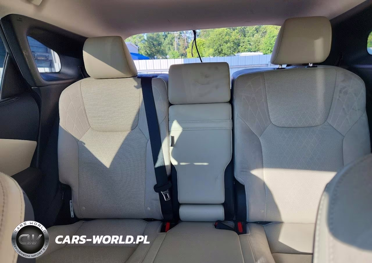 2023 Lexus Rx 350 Luxury VIN:2T2BAMBA8PC005364 - 10