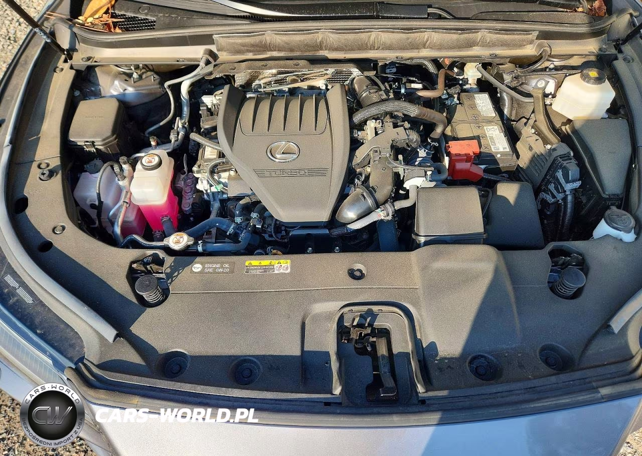 2023 Lexus Rx 350 Luxury VIN:2T2BAMBA8PC005364 - 12
