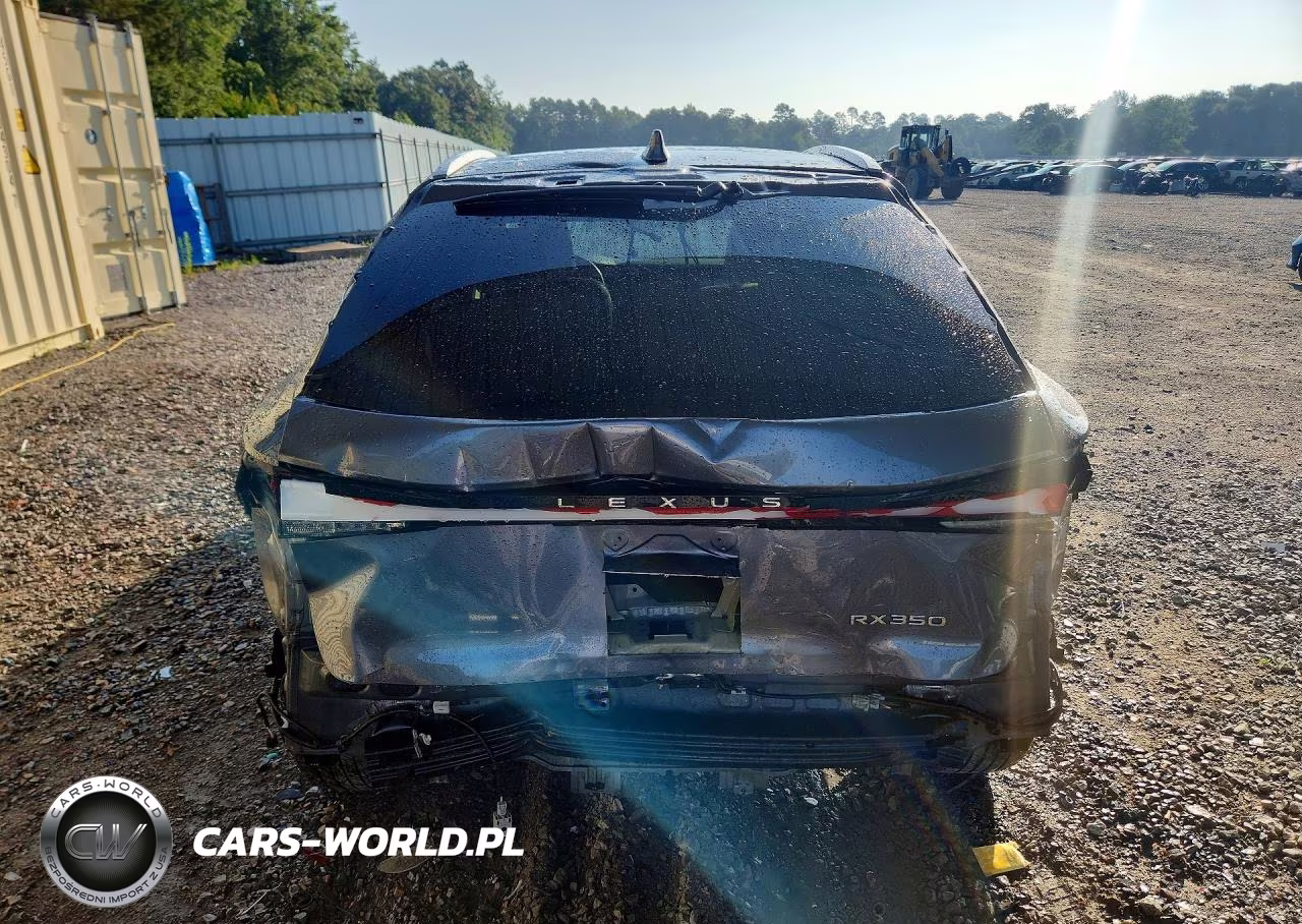 2023 Lexus Rx 350 Luxury VIN:2T2BAMBA8PC005364 - 6