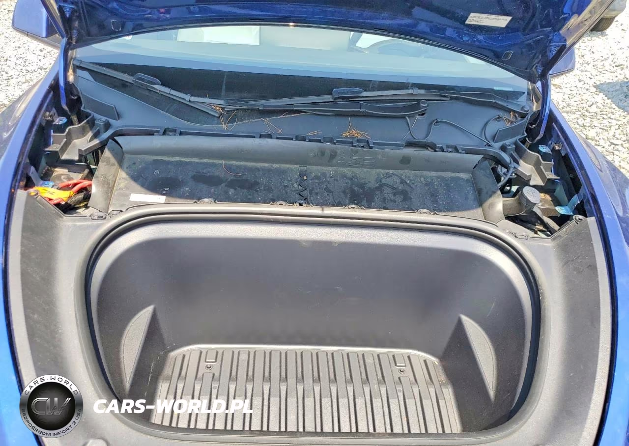 2024 Tesla Model Y VIN:7SAYGDEE8RA233827 - 11