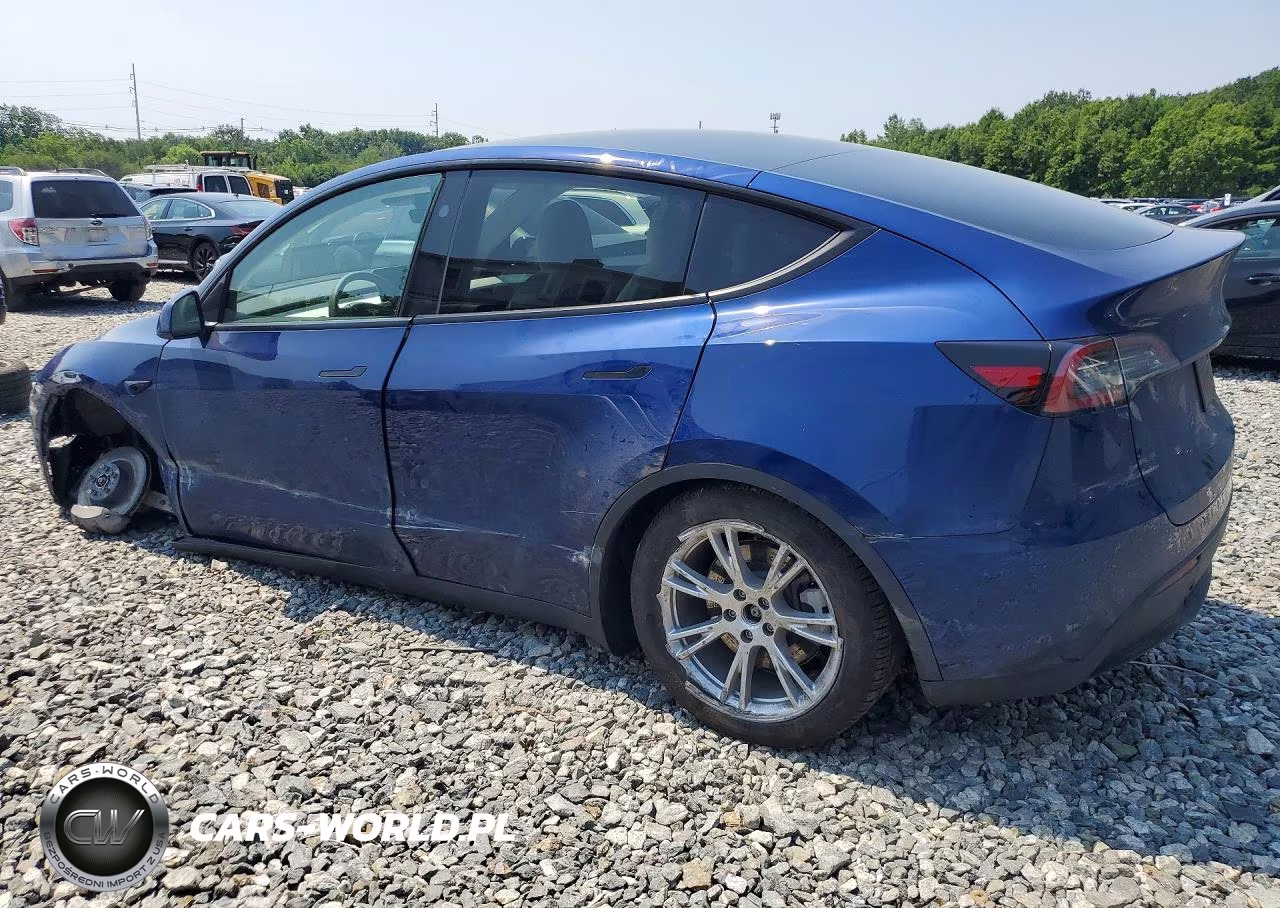 2024 Tesla Model Y VIN:7SAYGDEE8RA233827 - 2