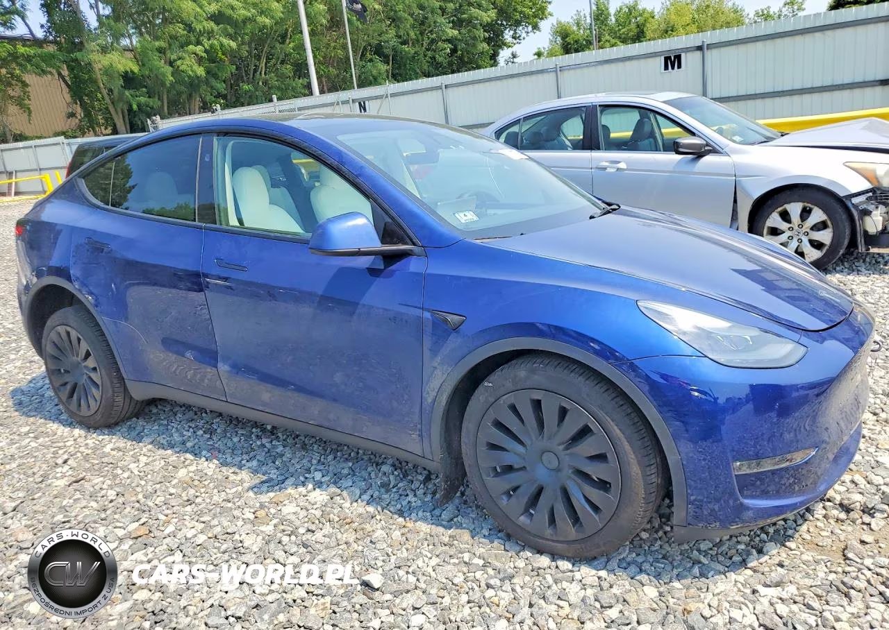 2024 Tesla Model Y VIN:7SAYGDEE8RA233827 - 4
