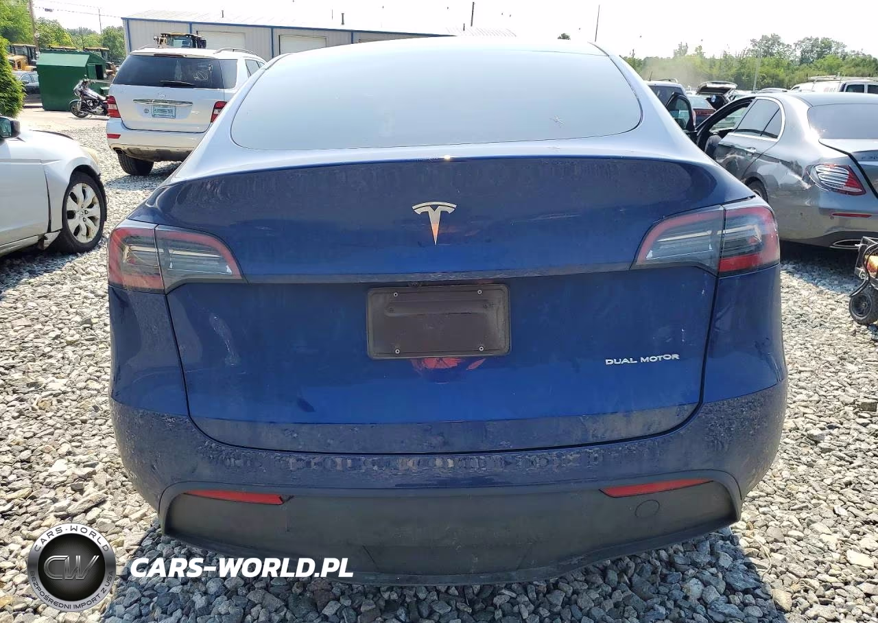 2024 Tesla Model Y VIN:7SAYGDEE8RA233827 - 6