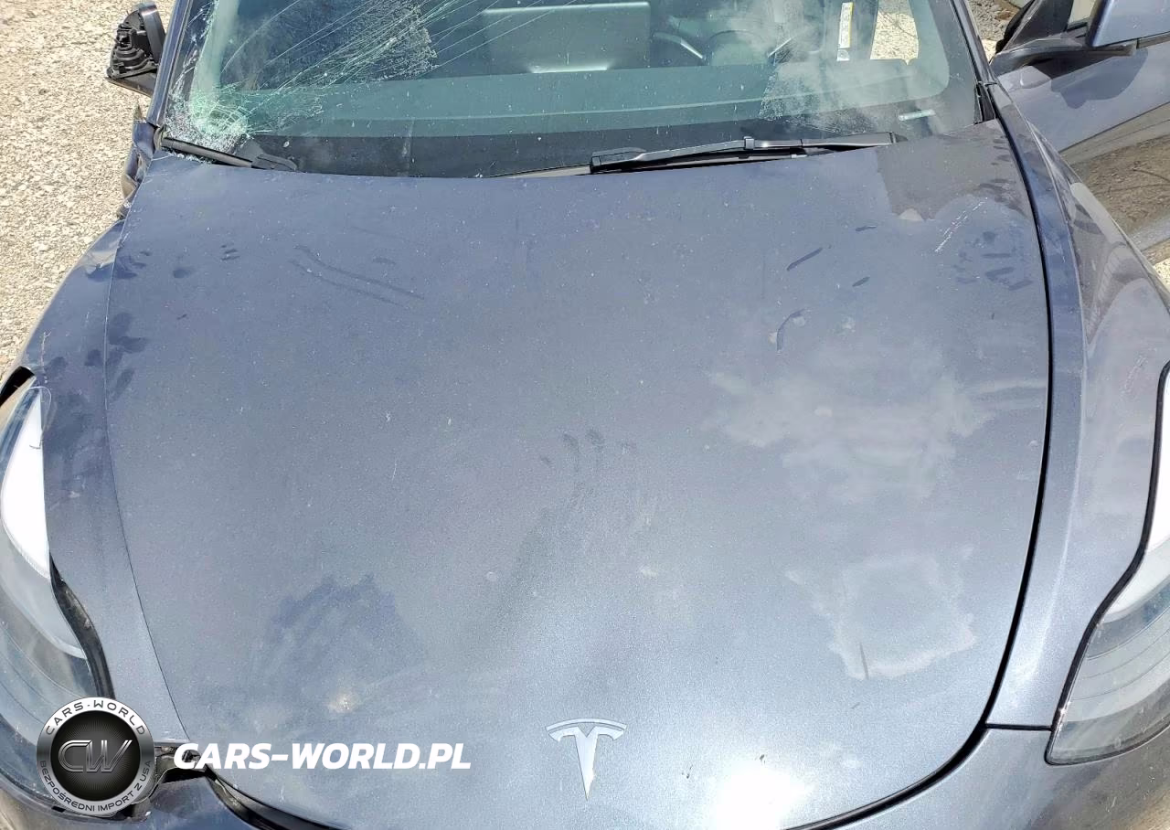 2023 Tesla Model 3 VIN:5YJ3E1EC8PF604267 - 11