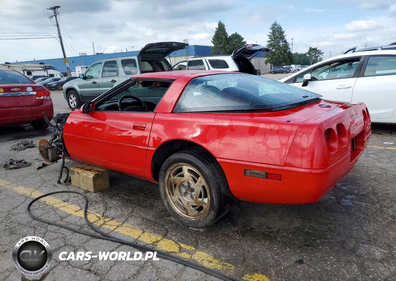 1992 Chevrolet Corvette VIN:1G1YY23P4N5103375 - 2