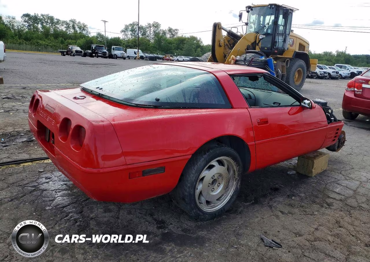 1992 Chevrolet Corvette VIN:1G1YY23P4N5103375 - 3
