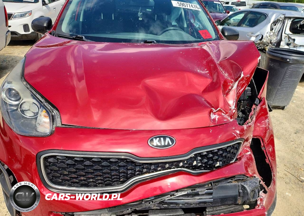 2019 Kia Sportage Lx VIN:KNDPM3AC9K7604475 - 12