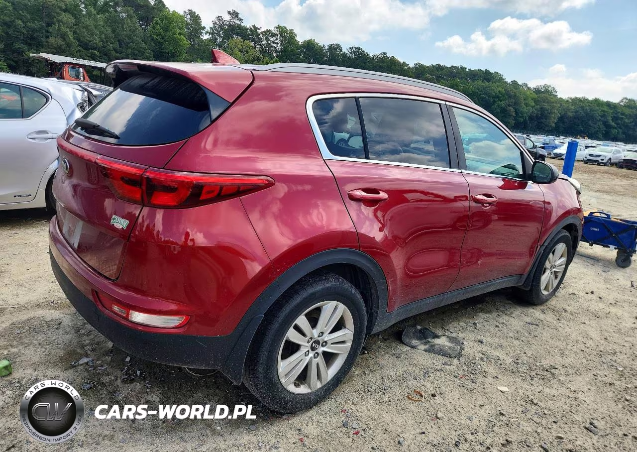 2019 Kia Sportage Lx VIN:KNDPM3AC9K7604475 - 3