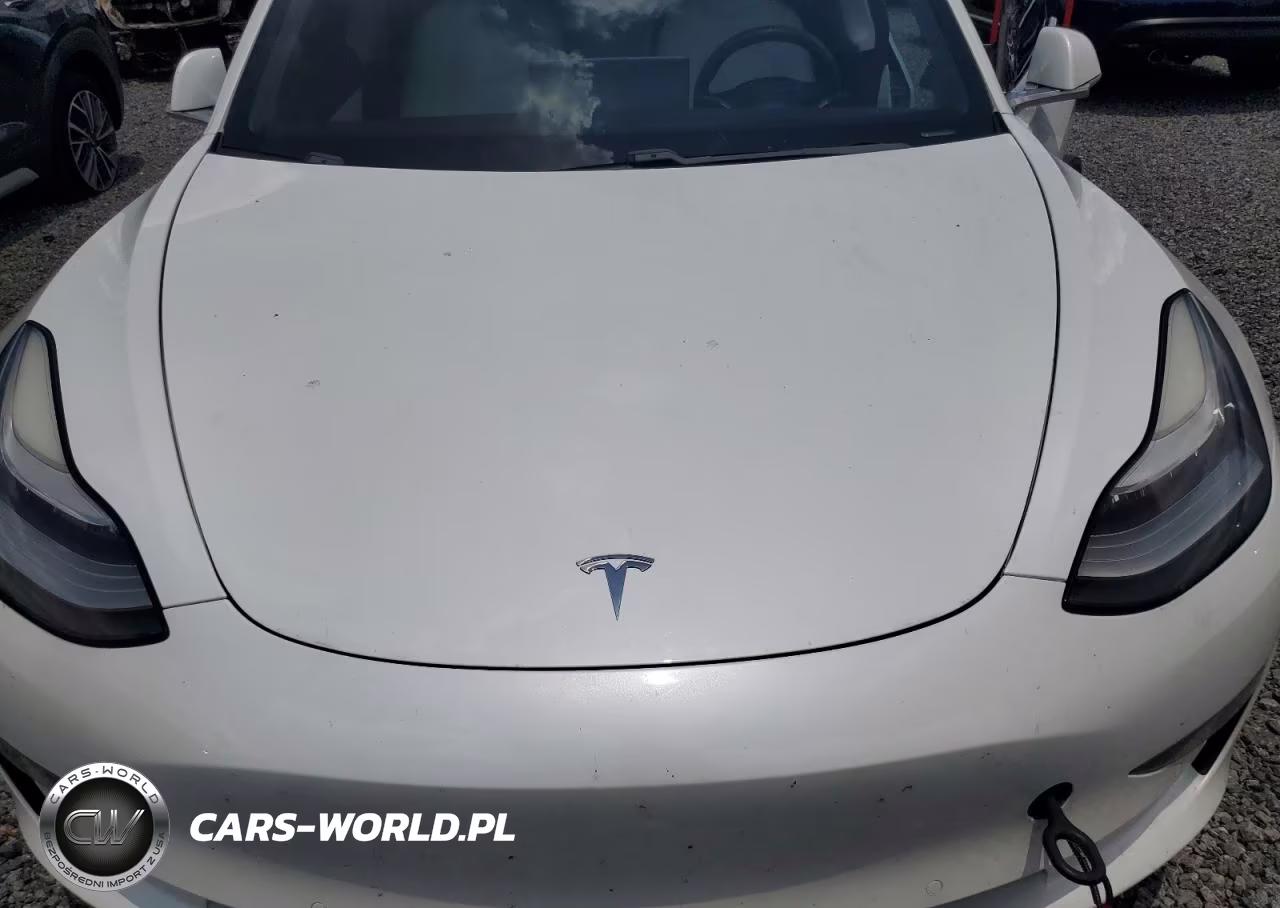 2020 Tesla Model 3 VIN:5YJ3E1EA1LF615586 - 11
