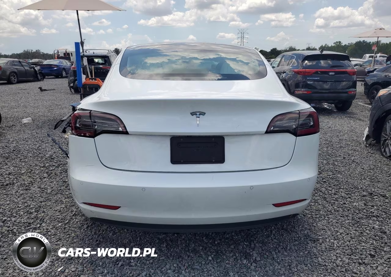 2020 Tesla Model 3 VIN:5YJ3E1EA1LF615586 - 6