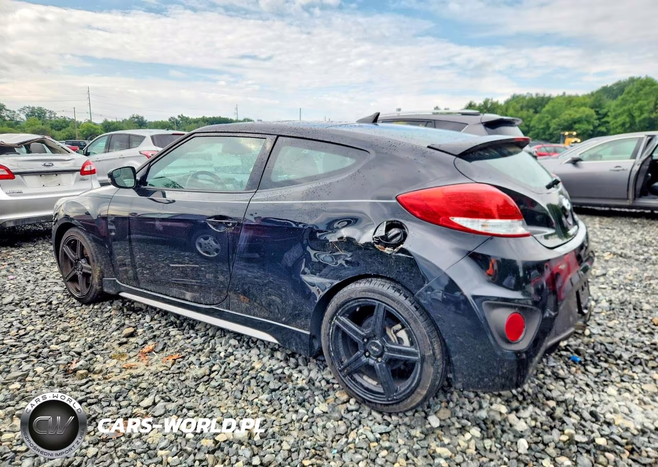 2014 Hyundai Veloster Turbo VIN:KMHTC6AE1EU192123 - 2