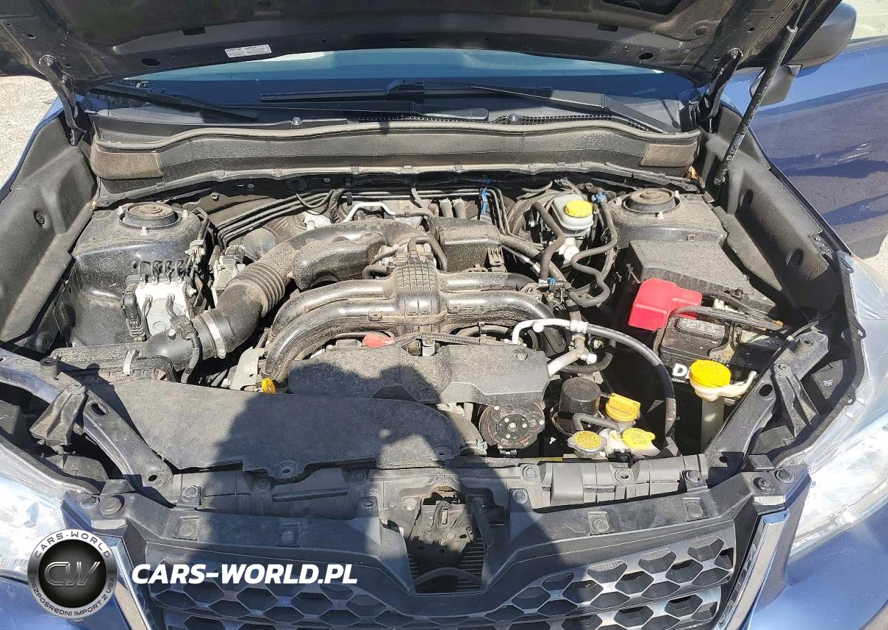 2014 Subaru Forester 2.5I VIN:JF2SJAAC8EH442684 - 12