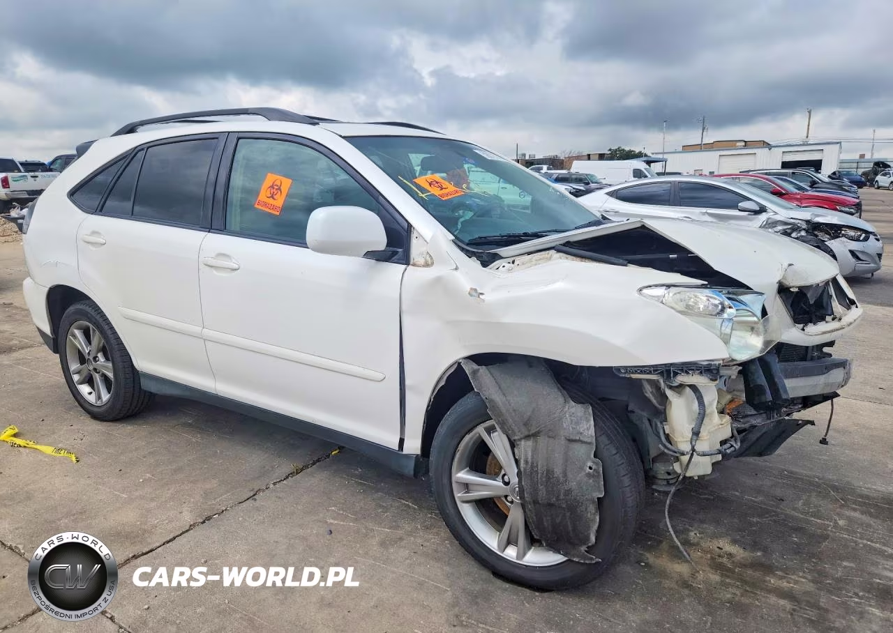 2006 Lexus Rx 400 VIN:JTJGW31U462000125 - 4