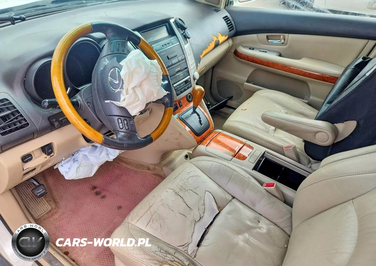 2006 Lexus Rx 400 VIN:JTJGW31U462000125 - 8