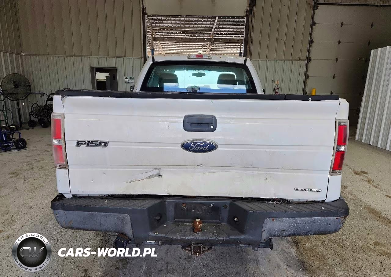 2011 Ford F150 VIN:1FTMF1CM7BFA74665 - 6