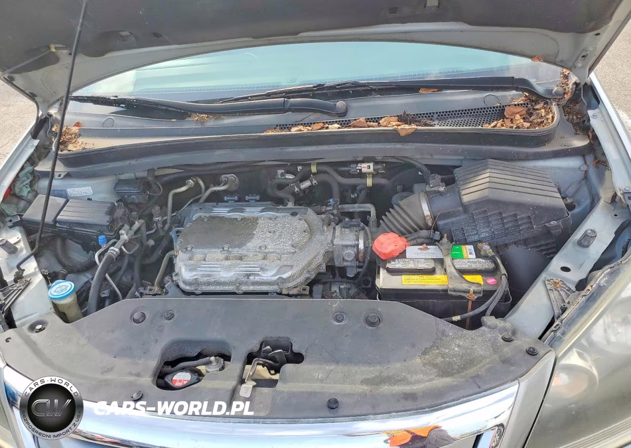 2010 Honda Odyssey Exl VIN:5FNRL3H6XAB062811 - 12