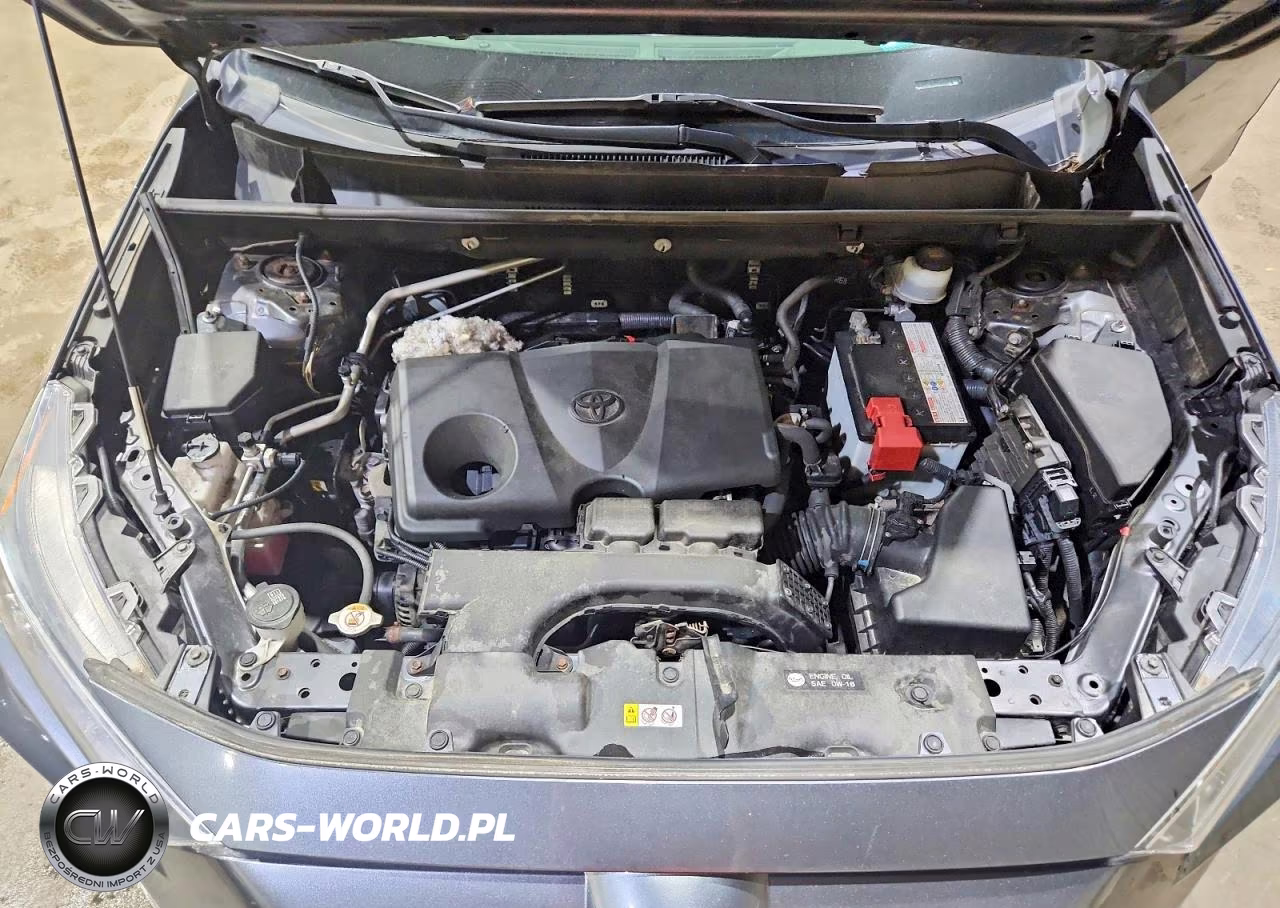 2019 Toyota Rav4 Xle VIN:JTMP1RFV5KD021098 - 12