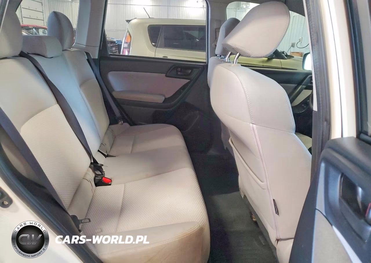 2016 Subaru Forester 2.5I VIN:JF2SJAAC4GH505895 - 10