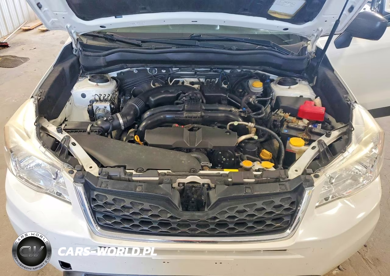 2016 Subaru Forester 2.5I VIN:JF2SJAAC4GH505895 - 11