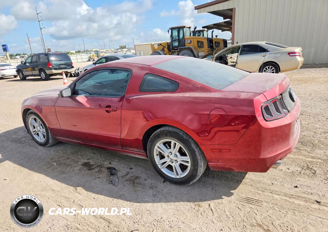 2014 Ford Mustang VIN:1ZVBP8AM0E5332614 - 2