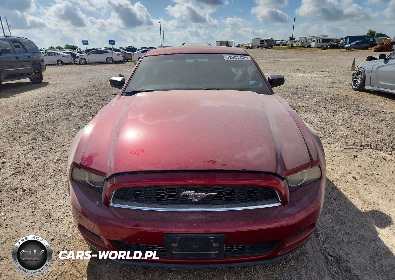 2014 Ford Mustang VIN:1ZVBP8AM0E5332614 - 5