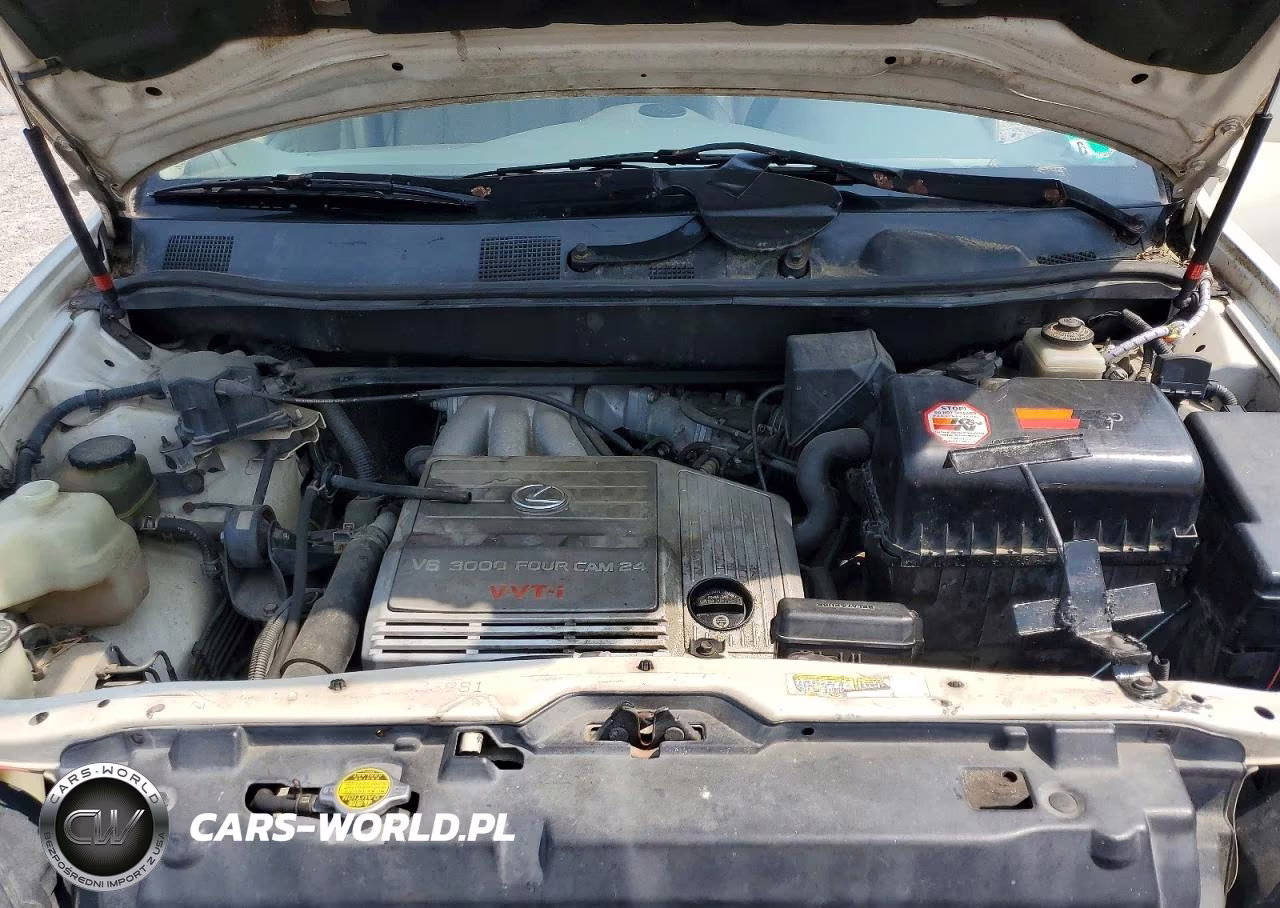 2000 Lexus Rx 300 VIN:JT6HF10U0Y0136285 - 12