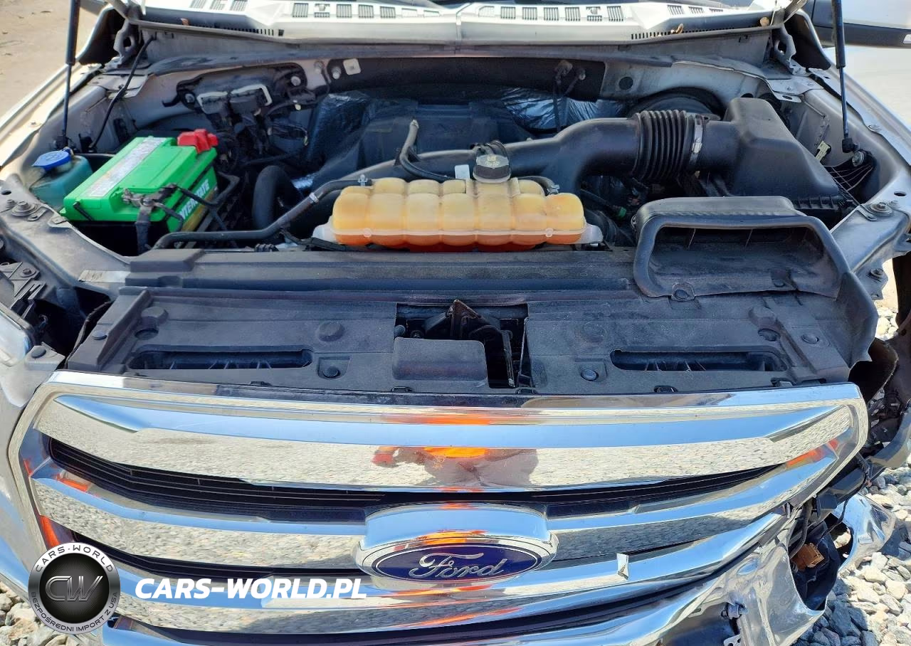 2016 Ford F150 Supercrew VIN:1FTEW1CP1GKF57145 - 11