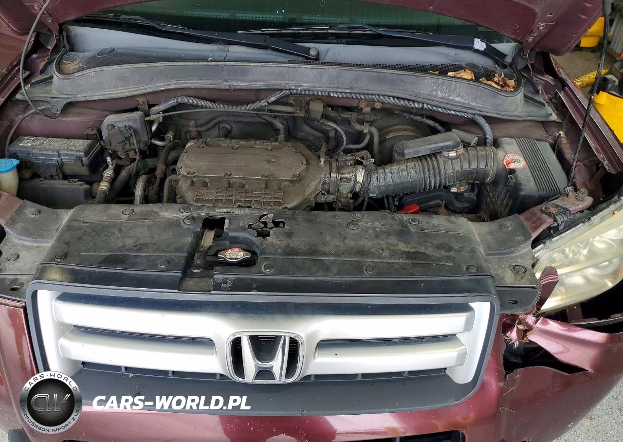 2008 Honda Pilot Se VIN:5FNYF18388B009998 - 12