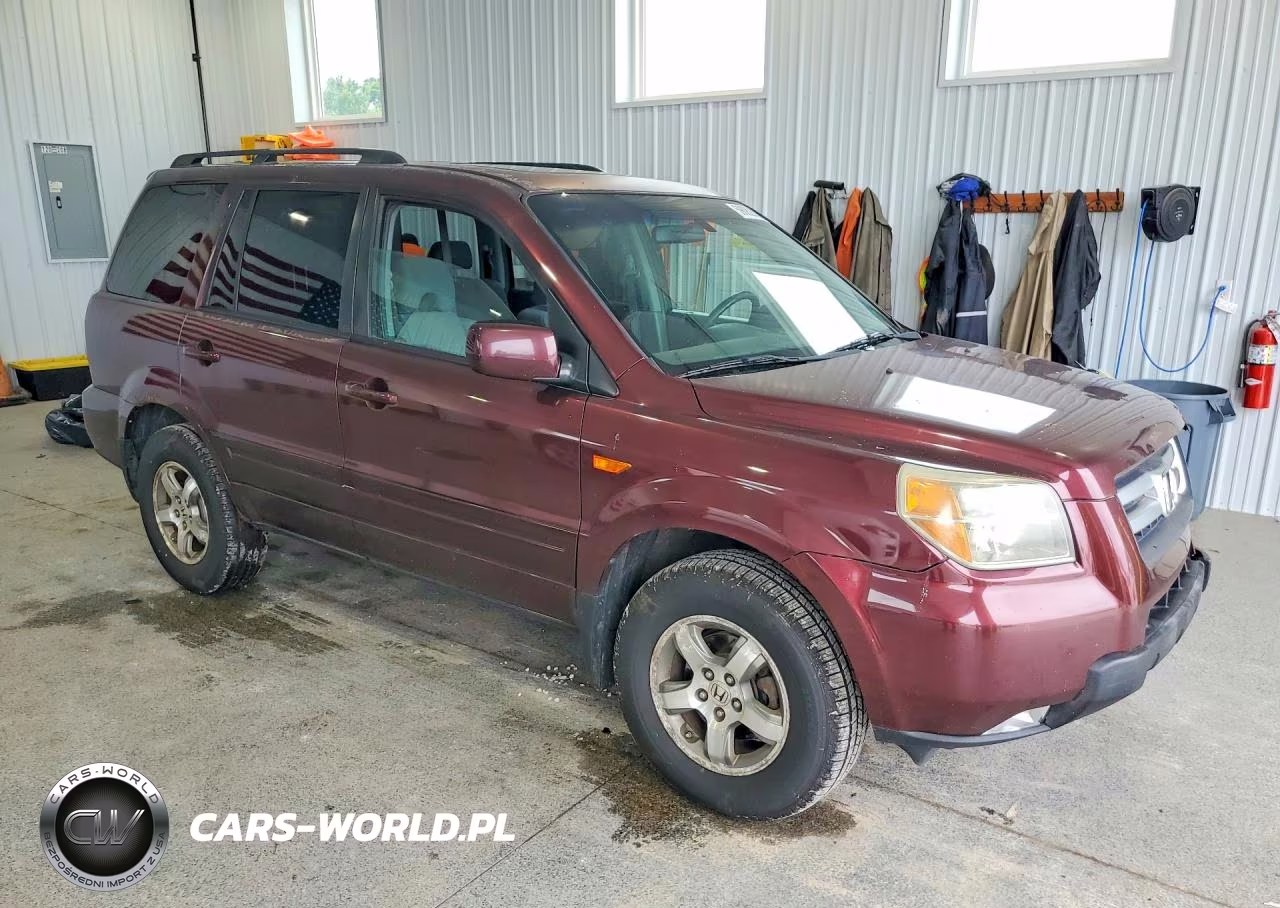 2008 Honda Pilot Se VIN:5FNYF18388B009998 - 4