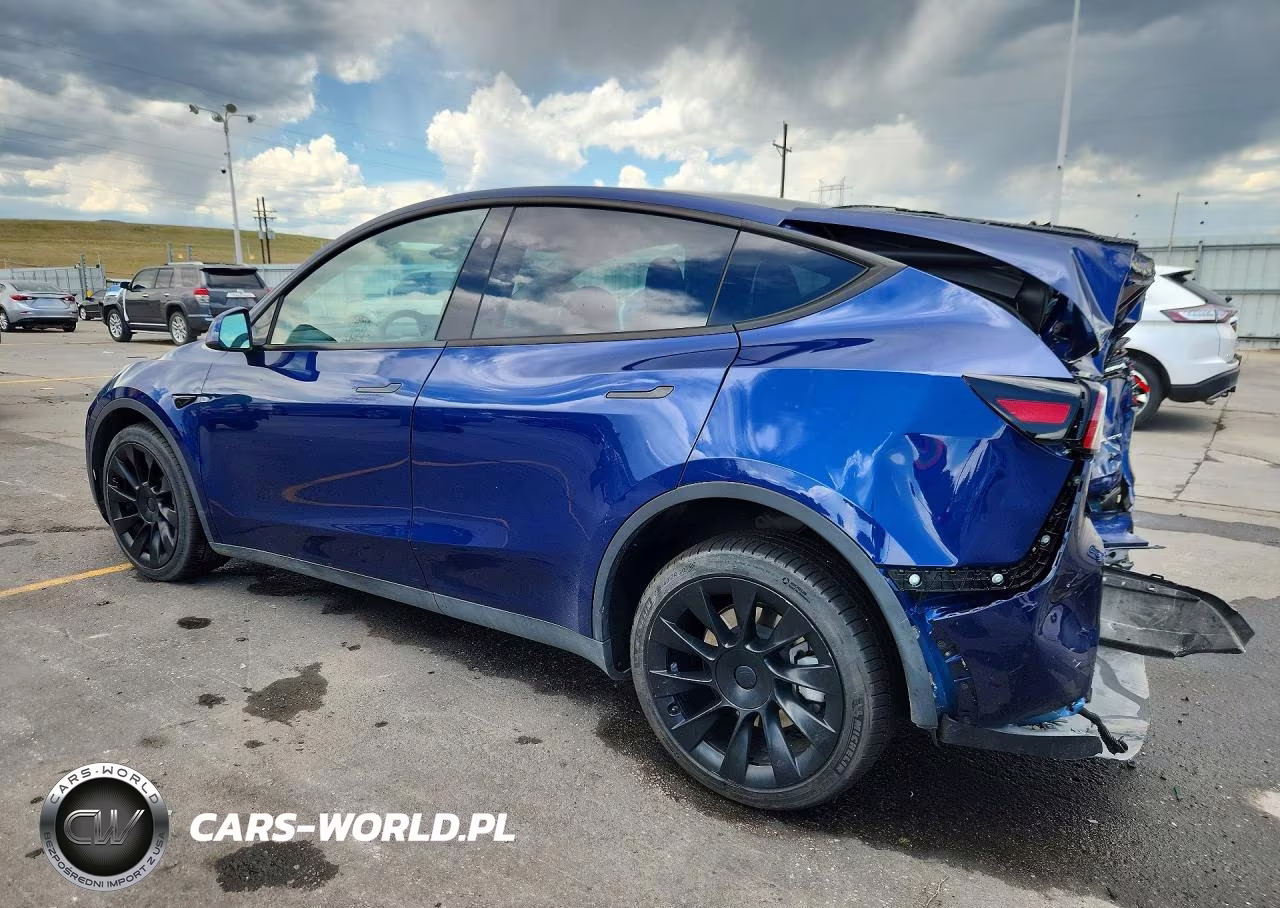 2023 Tesla Model Y VIN:7SAYGDEEXPA142233 - 2