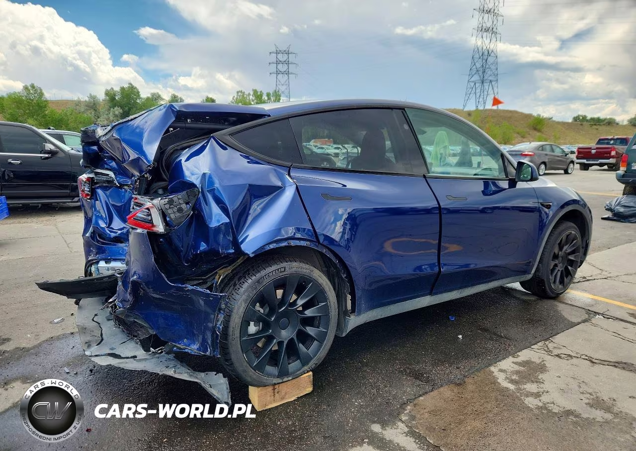 2023 Tesla Model Y VIN:7SAYGDEEXPA142233 - 3