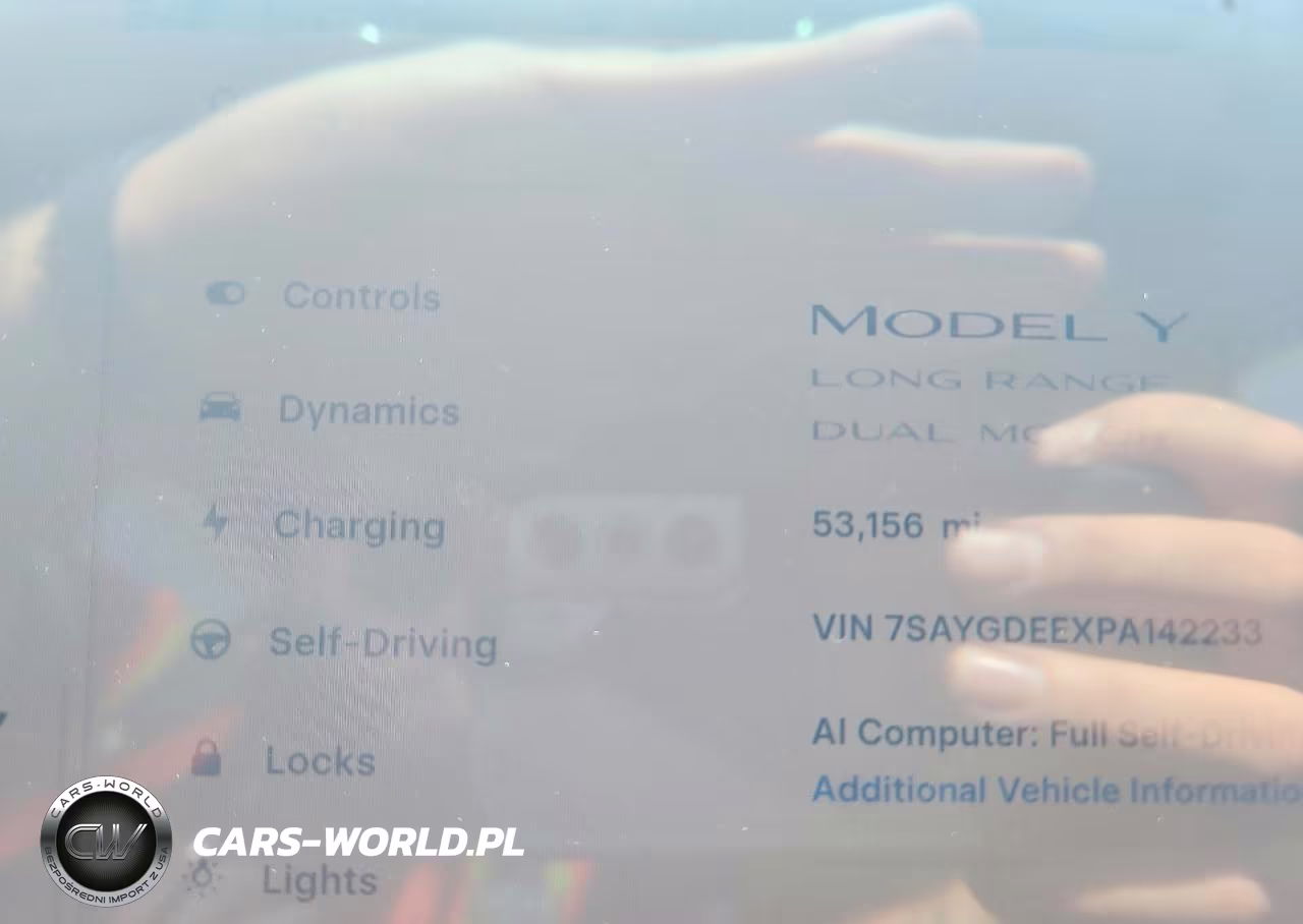 2023 Tesla Model Y VIN:7SAYGDEEXPA142233 - 9