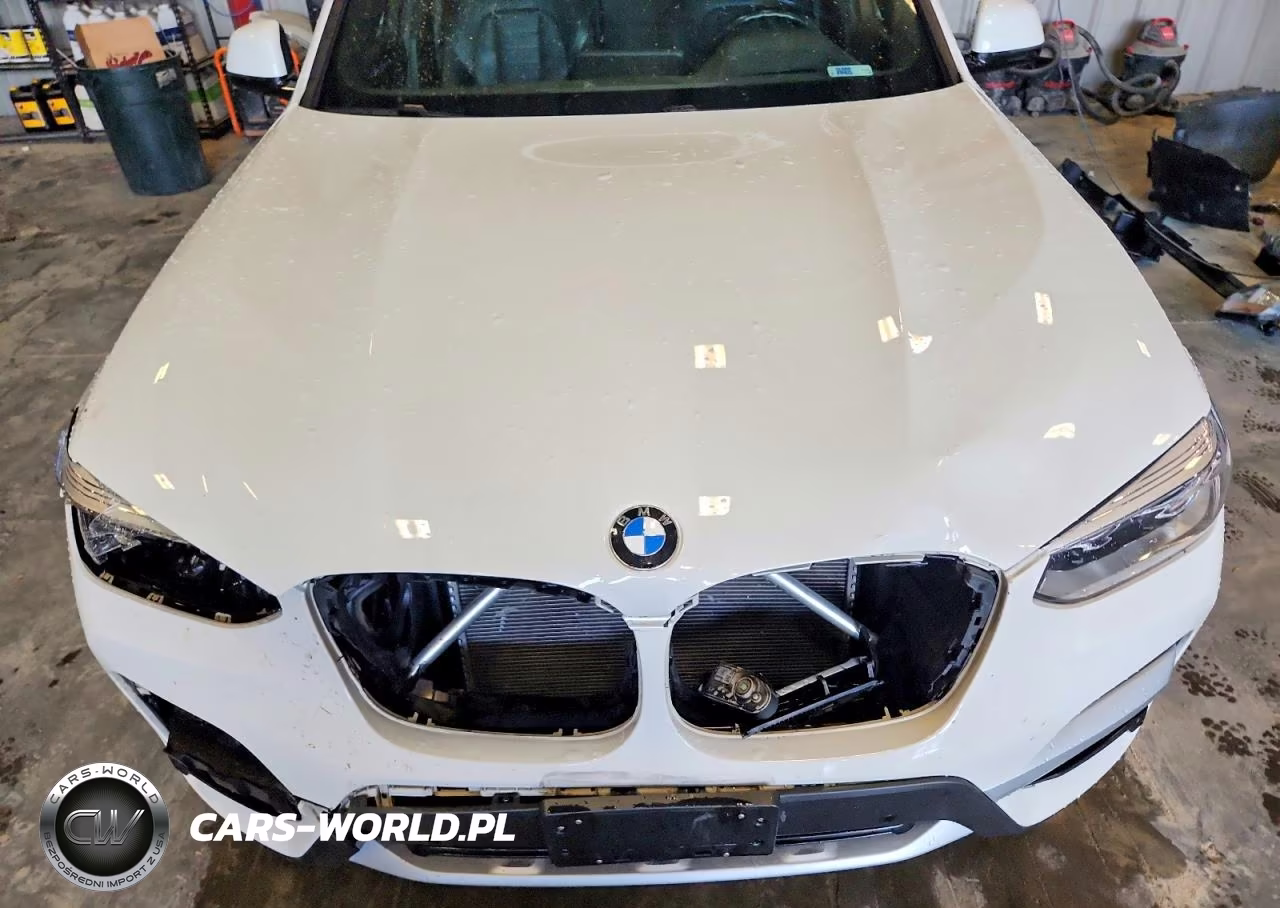 2019 BMW X3 xDrive30I VIN:5UXTR9C50KLE13621 - 11