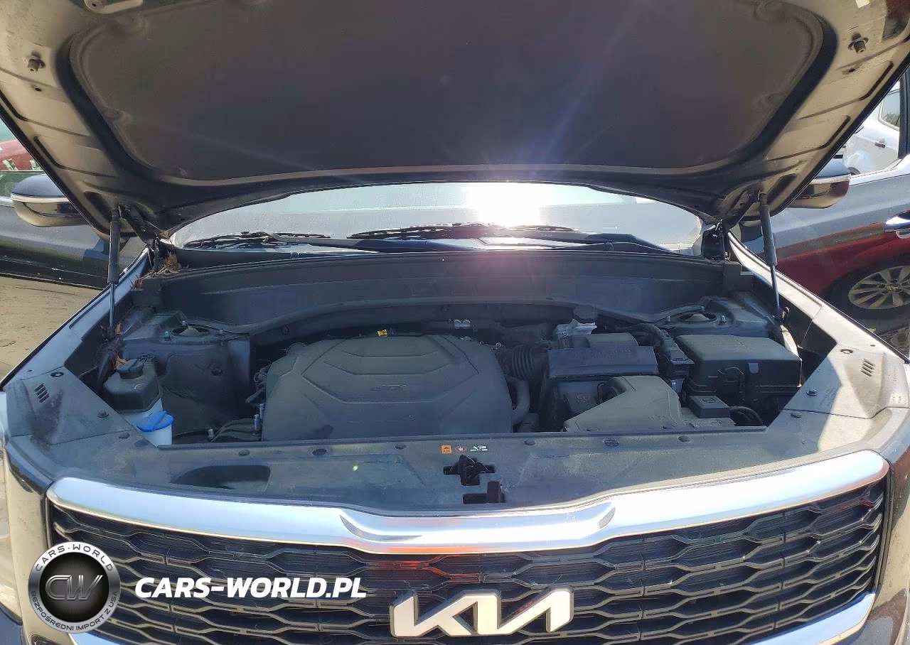 2022 Kia Telluride S VIN:5XYP64HCXNG268624 - 12