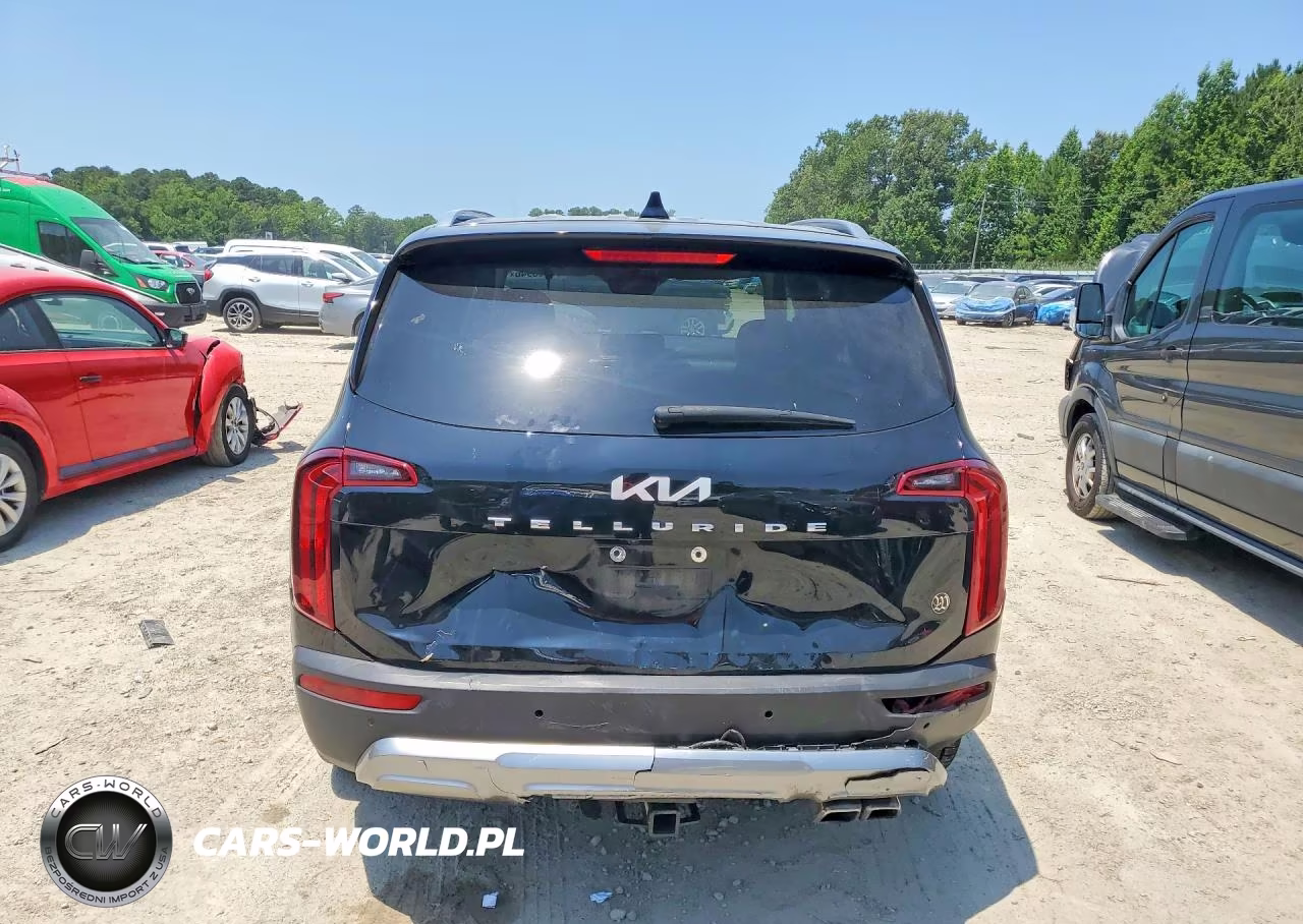 2022 Kia Telluride S VIN:5XYP64HCXNG268624 - 6