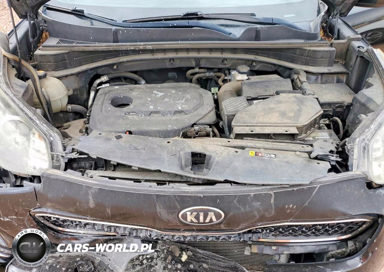 2018 Kia Sportage Lx VIN:KNDPMCAC4J7453902 - 12