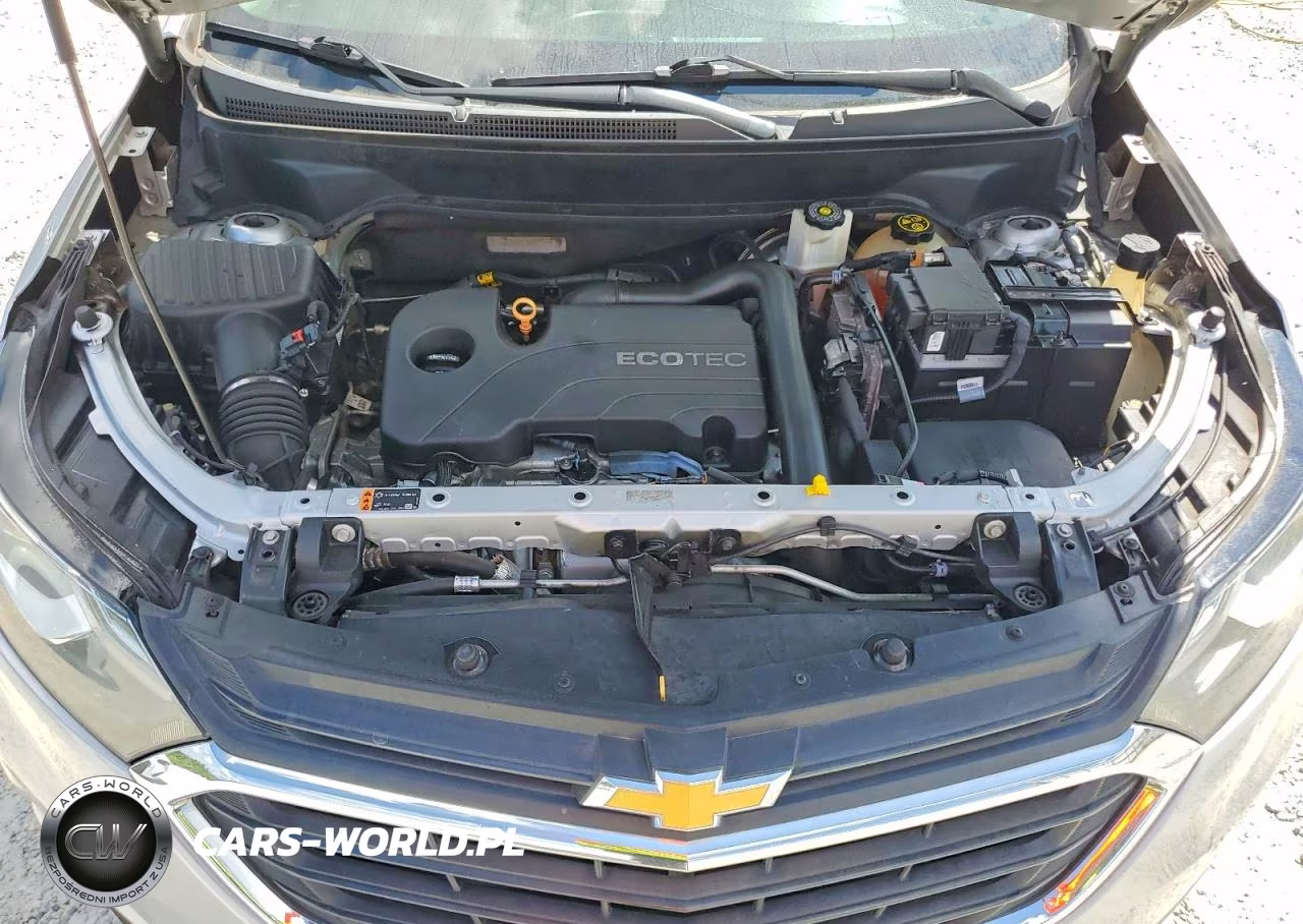 2019 Chevrolet Equinox Ls VIN:2GNAXHEV7K6195499 - 12