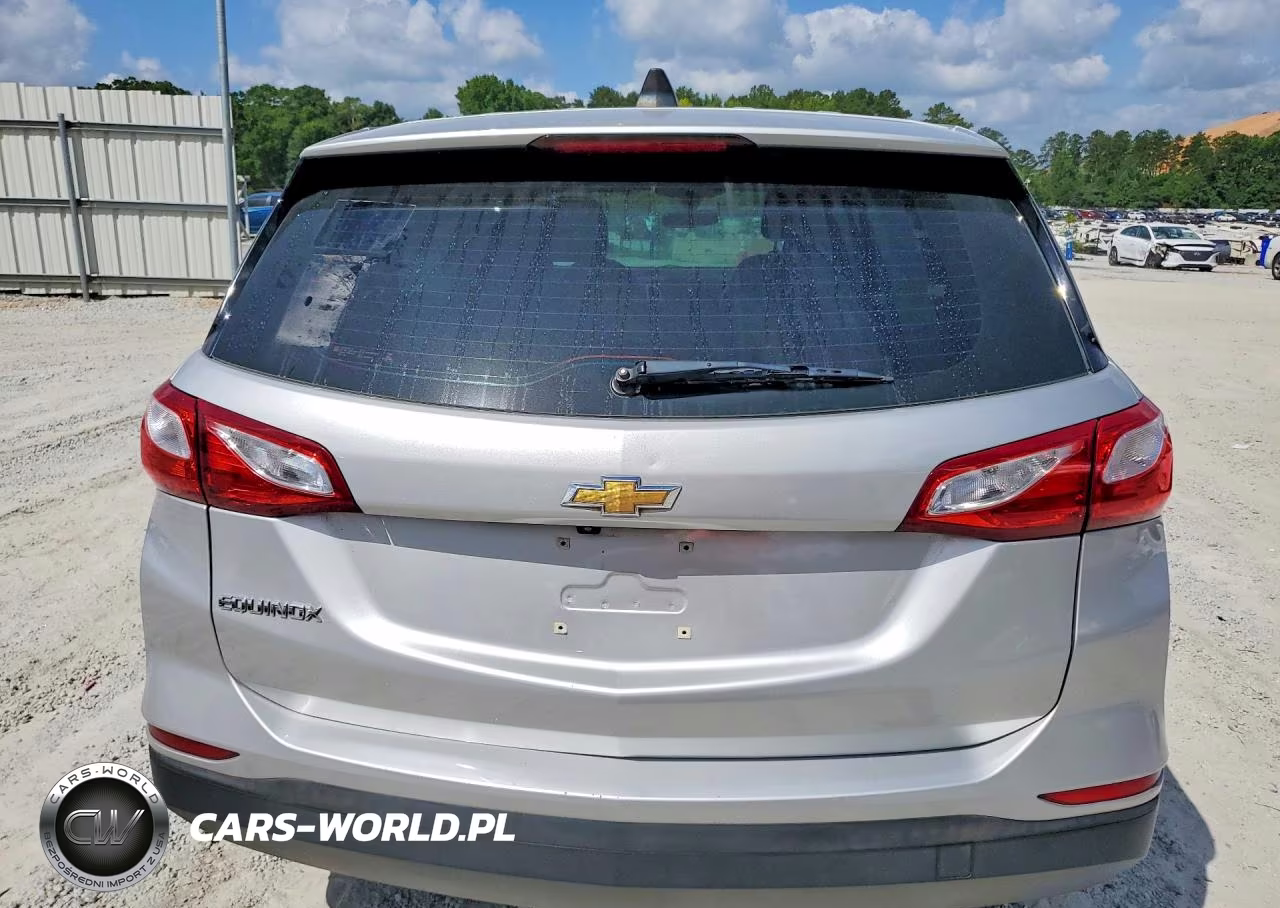 2019 Chevrolet Equinox Ls VIN:2GNAXHEV7K6195499 - 6