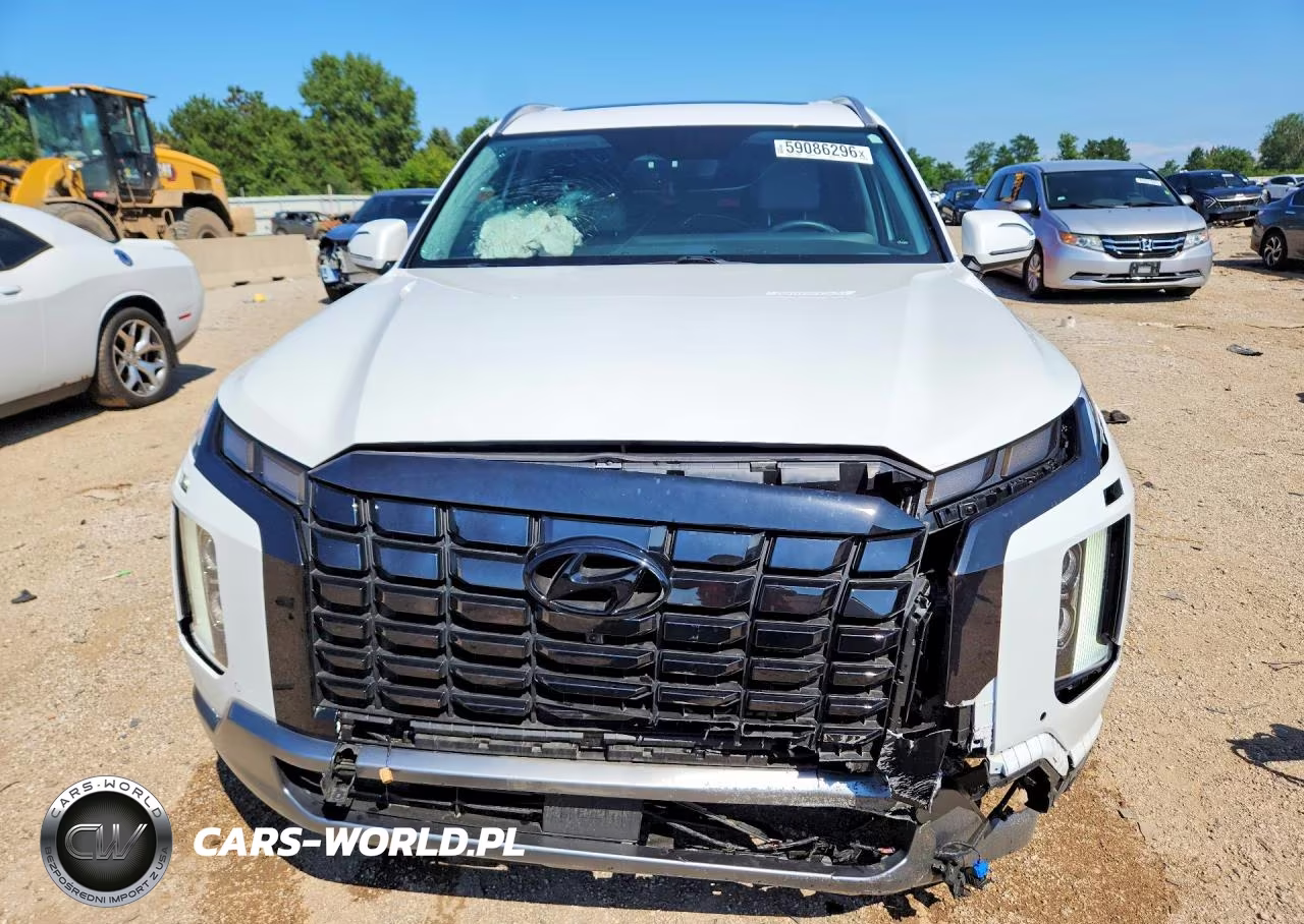 2024 Hyundai Palisade Sel Premium VIN:KM8R4DGE4RU707141 - 5