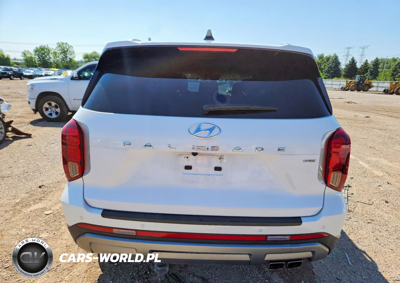 2024 Hyundai Palisade Sel Premium VIN:KM8R4DGE4RU707141 - 6